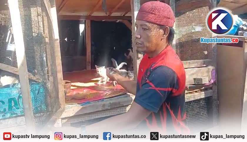 Sosok Anggota TNI Rela Rogoh Kocek Demi Rawat Kucing Terlantar