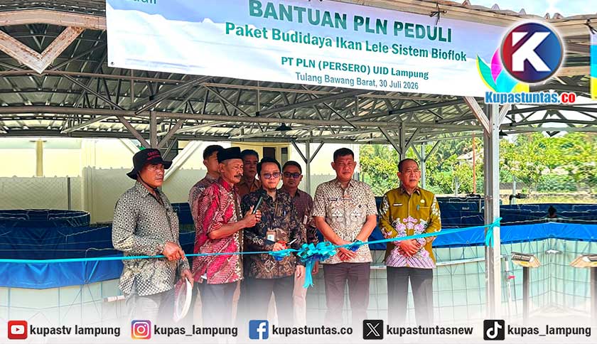 Dorong Ekonomi Berkelanjutan dan Ketahanan Pangan, PLN Peduli Salurkan Program Budidaya Lele Bioflok di Tulang Bawang Barat