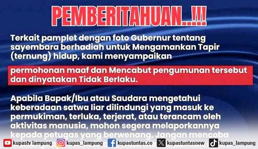 Sayembara Penangkapan Tapir Berhadiah Rp50 Juta di Mesuji Resmi Dibatalkan