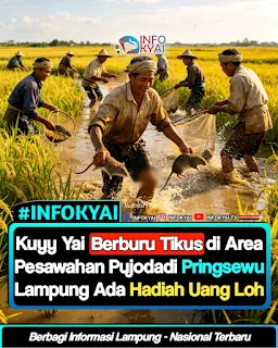 Berburu Tikus Berhadiah Digelar di Pringsewu, Terbuka untuk Umum