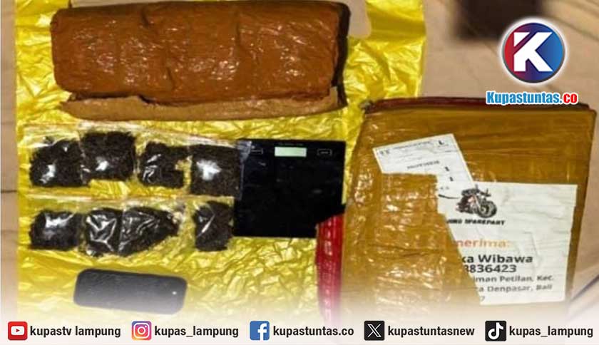 Polda Lampung Sita 6 Kg Ganja dari Jaringan Narkoba Medan–Bali