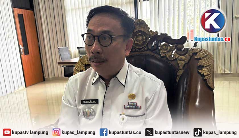 Investasi Lampung Semester I 2026 Capai Rp 7 Triliun, Industri Makanan Masih Mendominasi