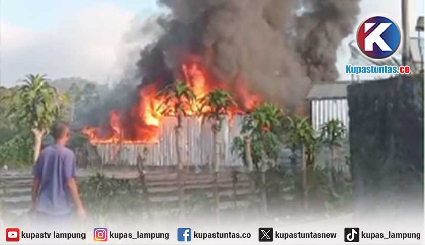 Kebakaran Hanguskan Rumah Warga di Padang Cahya Lampung Barat