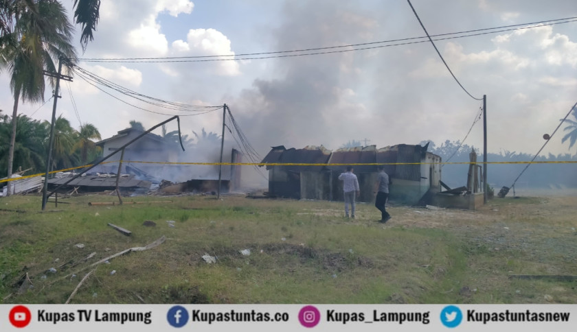 PT BSA Dibakar Massa, LBH Bandar Lampung Desak Konflik Agraria Diselesaikan