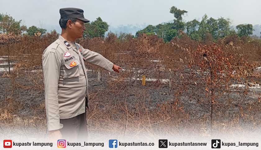 Tiga Titik Lahan di Tepi Tol Tulang Bawang Terbakar, Polisi Waspadai Hotspot Susulan