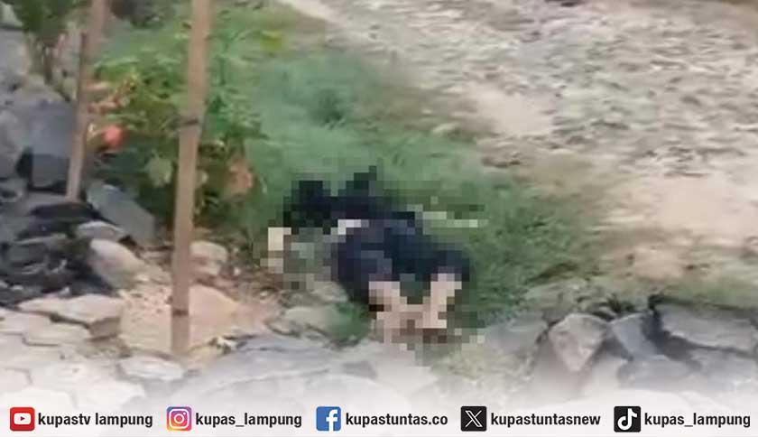 DPO Kasus Curanmor Ditemukan Tewas di Halaman Rumah Warga Lampung Timur