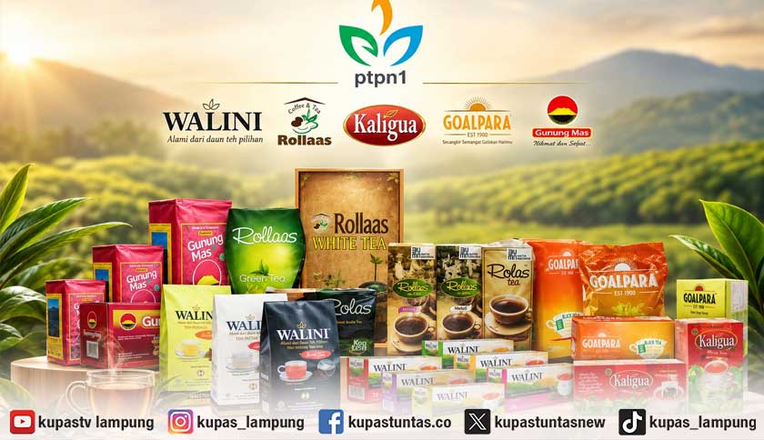 PTPN I Perkuat Hilirisasi Lewat Pemasaran
