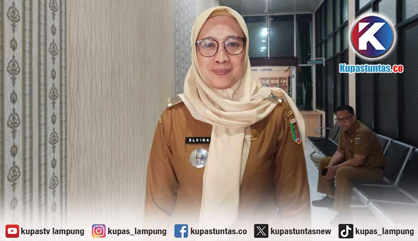 Sawah Mulai Kekeringan, Pemprov Lampung Optimalkan Pompa Air dan Dam Parit