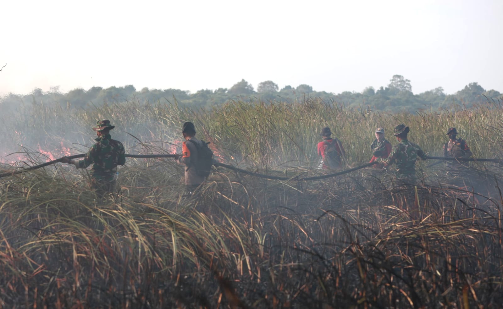Tim Alfa TNI Diturunkan Padamkan Karhutla Taman Nasional Way Kambas