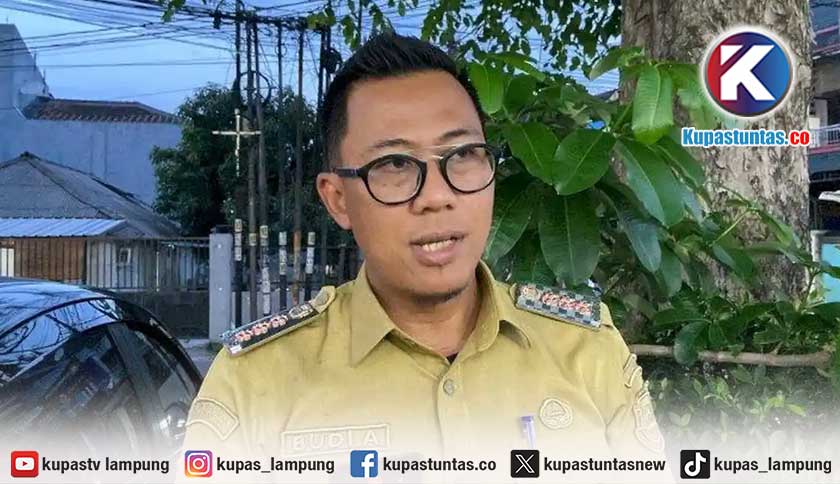 DLH Bandar Lampung Perketat Pemangkasan Pohon Tua, Antisipasi Pohon Tumbang Timpa Pengendara