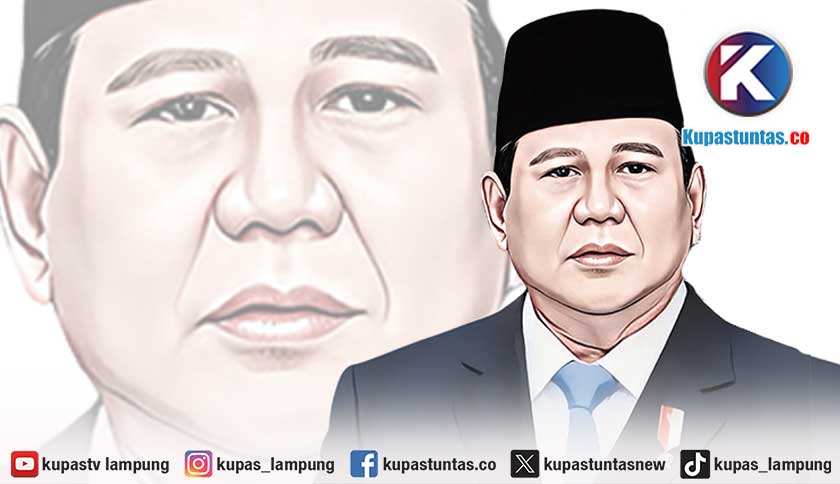 Prabowo Beri Perhatian Khusus Karhutla di TNWK, Luas Lahan Terbakar 673,4 Hektare