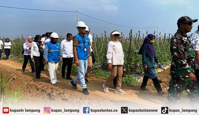 Jelang HUT ke-81 RI, PLN UP3 Metro Perkuat Ketahanan Pangan Lampung Timur Lewat Listrik Masuk Sawah