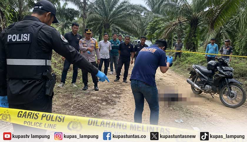 Satpam Perusahaan Sawit di Way Kanan Tewas Dibacok, Pelaku Serahkan Diri