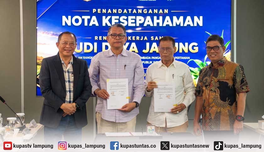 PTPN I Kerja Samakan 10.000 Hektare Lahan untuk Jagung