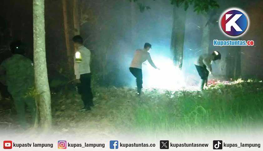 Tiga Kebakaran Lahan Terjadi dalam Sepekan di Pringsewu, Terbaru Nyaris Capai Permukiman