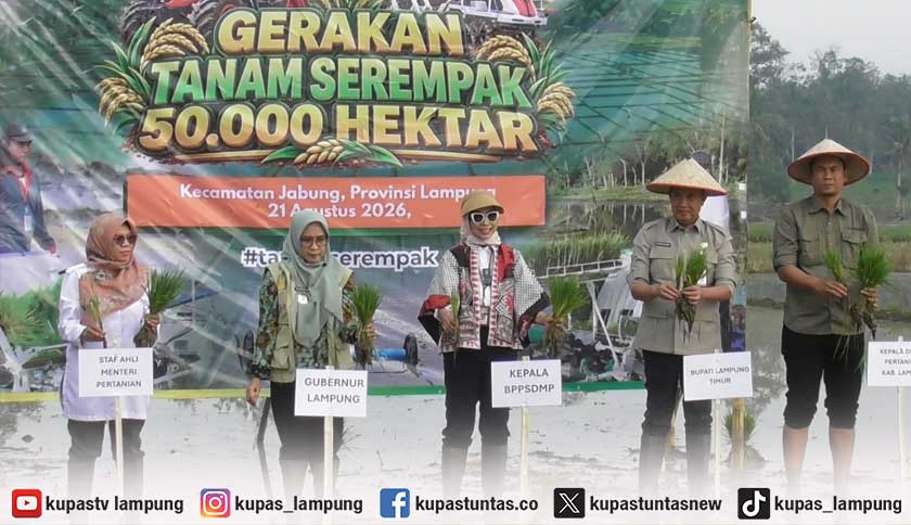 Tanam Padi Serempak di Lampung Timur, Pemerintah Dorong Pertanian Berkelanjutan