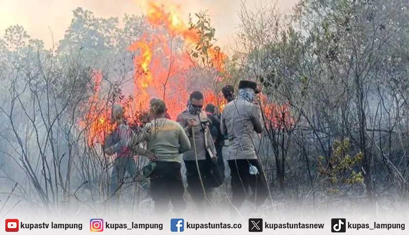 Kebakaran Taman Nasional Way Kambas Meluas hingga 673,4 Hektare