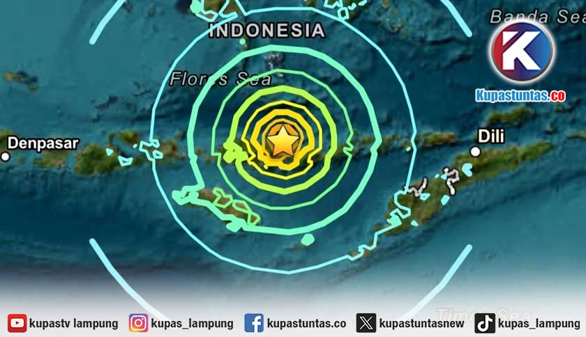 Gempa M7,7 NTT Rusak 5 Bandara dan 3 Pelabuhan, Layanan Transportasi Terganggu