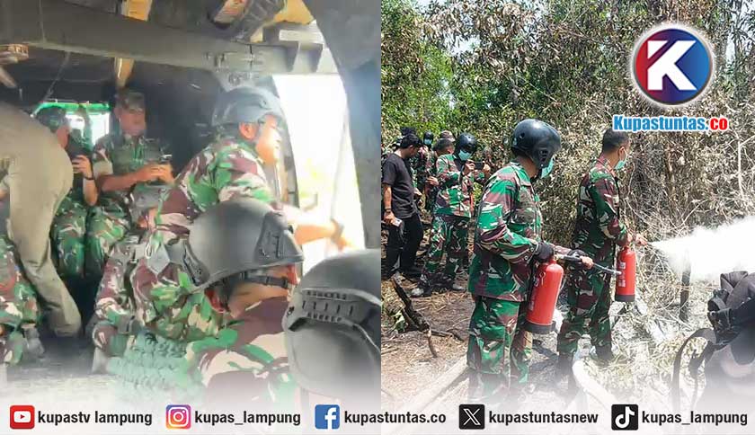 LAMPUNG: Mengenal Tim Alfa TNI yang Terjun ke Way Kambas?