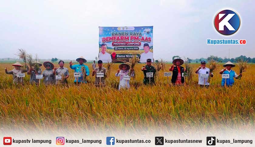Jelang Hari Pelanggan Nasional, PLN Perkuat Kelistrikan Pertanian Modern di Lampung