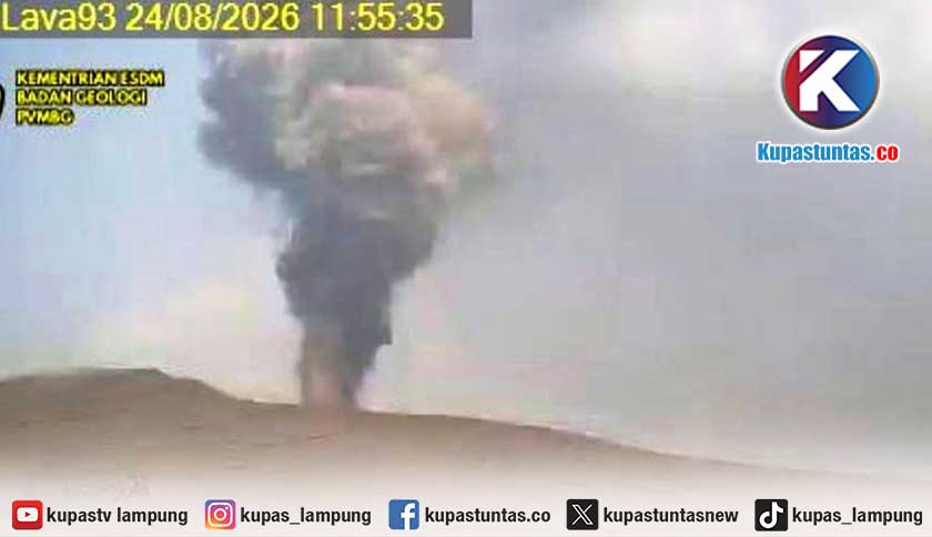 Gunung Anak Krakatau Erupsi 7 Kali, Letusan Paling Tinggi 350 Meter