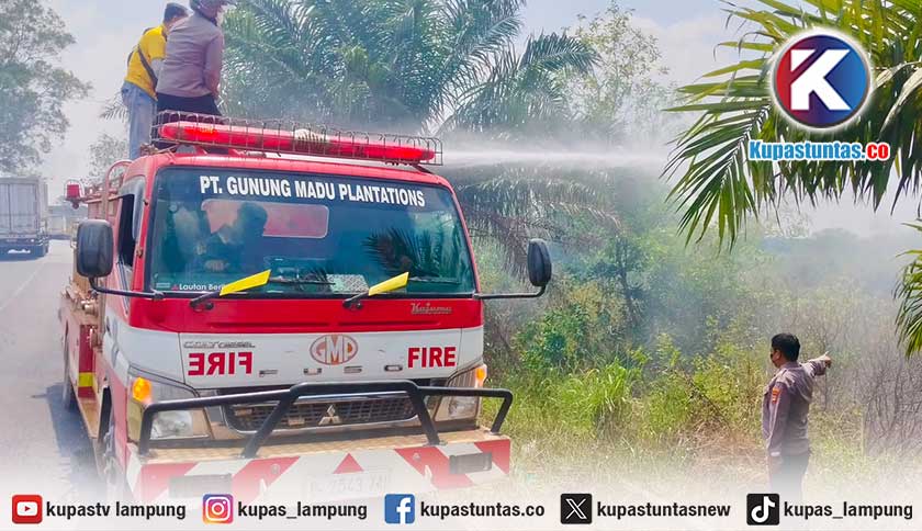 Lahan Terbakar di Jalinpantim Lampung Tengah, Polisi Ingatkan Bahaya Puntung Rokok