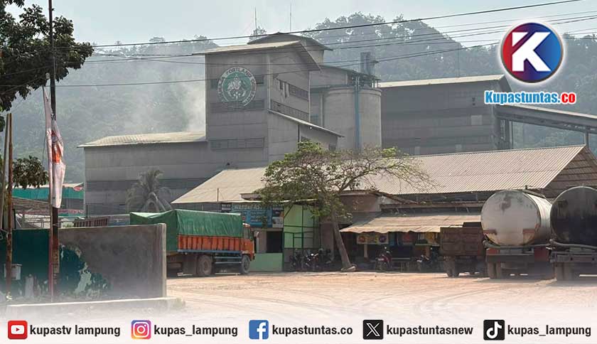 Warga Keluhkan Debu PT Semen Baturaja Pabrik Panjang, Khawatir Ganggu Kesehatan