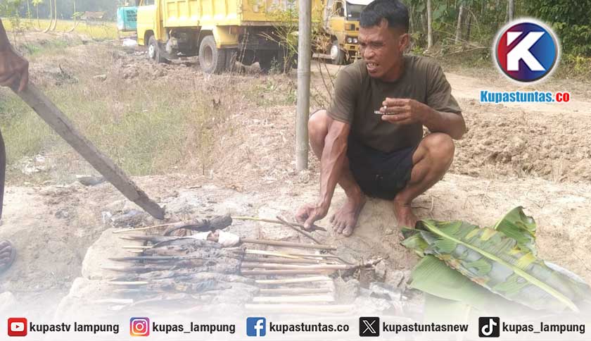 Purna PMI di Lampung Timur Sukses Kembangkan Budidaya Nila dan Lele