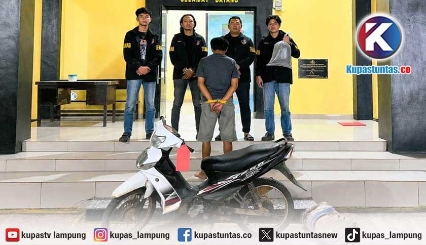 Tiga Bulan Bersembunyi, Pencuri Kopi di Ulubelu Tanggamus Akhirnya Dibekuk