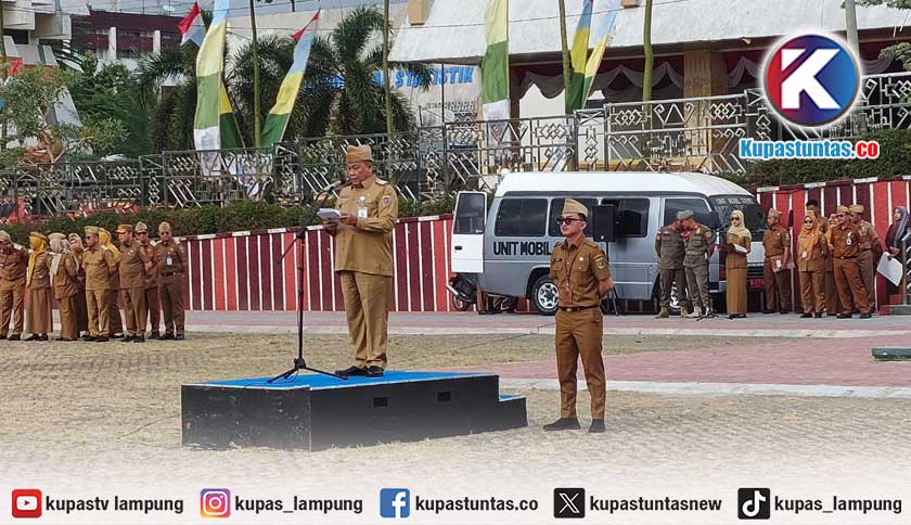 Sektor Perkebunan Sumbang 7,32 Persen PDRB, Pemprov Lampung Dorong Hilirisasi