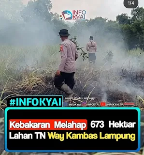 Kebakaran Melahap 673 Hektar Lahan TN Way Kambas Lampung