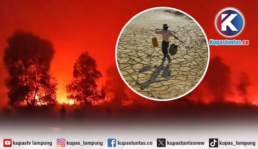 El Nino 'Godzilla' Mengintai, Lampung Barat Petakan 4 Kecamatan Rawan Kekeringan dan Karhutla