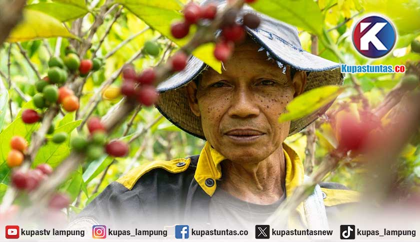 Regenerasi Petani di Hutan Lindung Batutegi, Menjaga Hutan Lewat Agroforestri