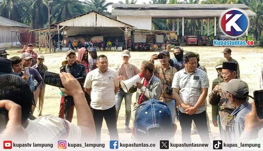 Kericuhan PT BSA, 8 Gedung hingga Alat Berat Rusak dan Terbakar