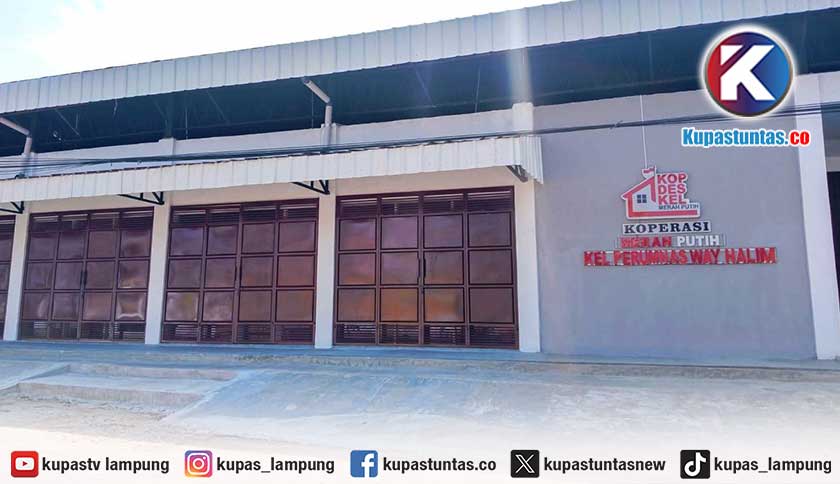 924 Gerai Sudah Rampung, KDKMP Lampung Masih Menunggu Manajer dan Modal