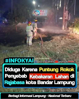 Diduga Puntung Rokok, Lahan di Rajabasa Bandar Lampung Terbakar