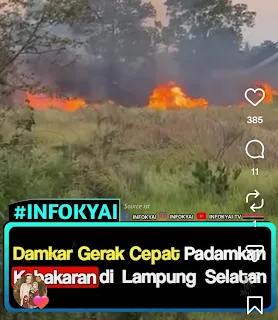 Damkar Gerak Cepat Padamkan Kebakaran di Lampung Selatan