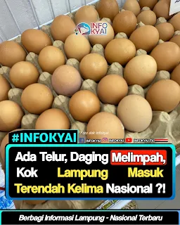 Ada Telur, Daging Melimpah, Kok Lampung Masuk Terendah Kelima Nasional?!