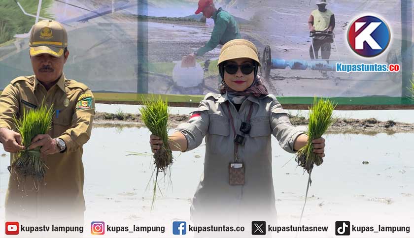 Perkuat Produksi Nasional, Kementan Dorong Peningkatan Indeks Pertanaman di Lahan Oplah dan CSR