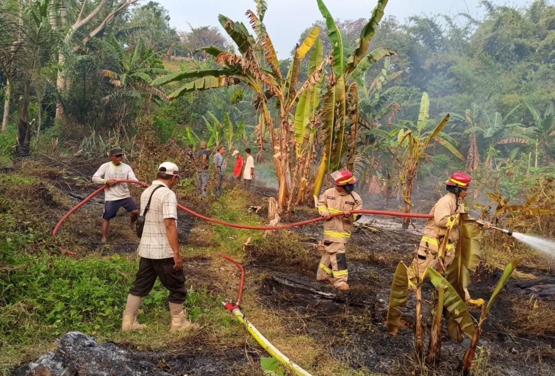 Sehari, Damkarmat Bandar Lampung Tangani Tiga Titik Kebakaran