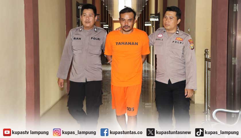 DPO Sindikat Pencuri Sapi di Pringsewu Dibekuk Polisi di Sumsel