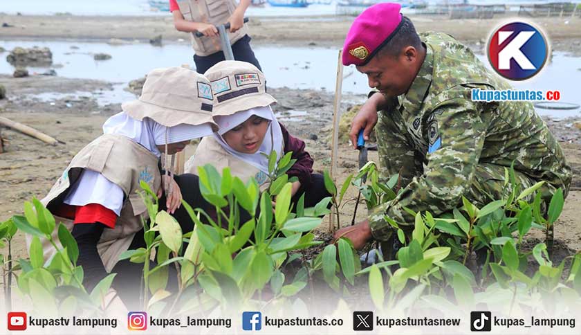 HUT ke-81 TNI, Brigif 4 Mar/BS Tanam Mangrove untuk Selamatkan Pesisir Pesawaran