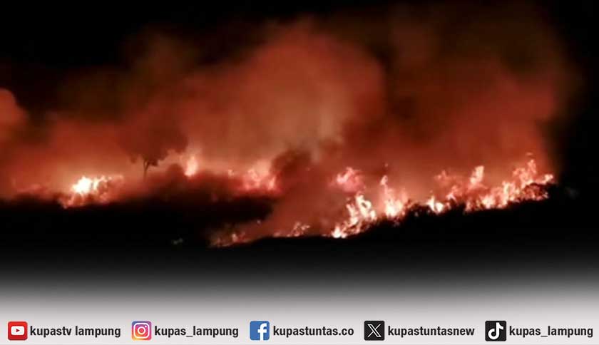 Kebakaran Kembali Melanda Kawasan TNWK, Satu dari Tiga Titik Berhasil Dipadamkan