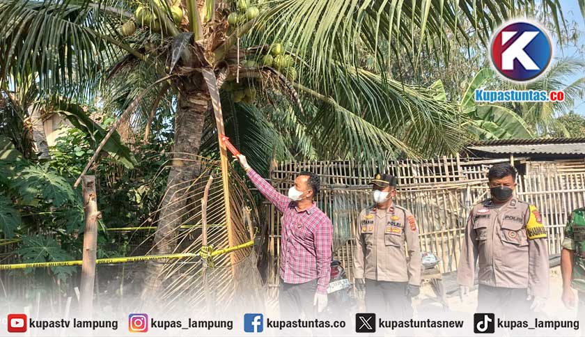 Warga Ambarawa Pringsewu Ditemukan Tewas Diduga Gantung Diri di Pohon Kelapa