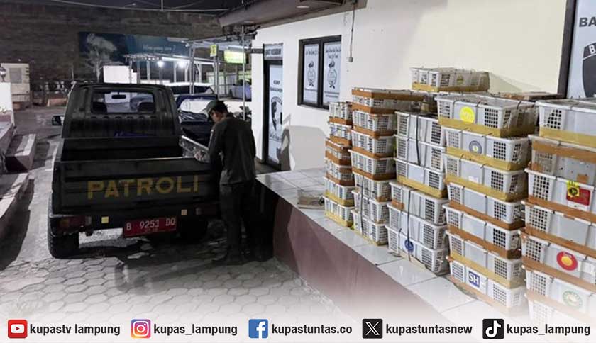 Penyelundupan 2.775 Burung Terbongkar di Bakauheni, Dikemas dalam Puluhan Keranjang