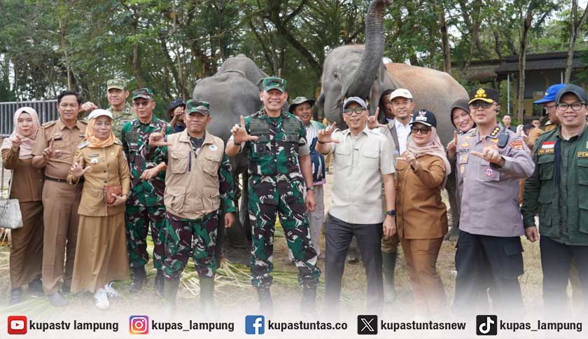 Kunjungi Taman Nasional Way Kambas, Gubernur dan Pangdam Pastikan Gajah Tidak Terdampak Kebakaran