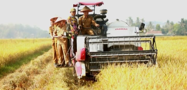 Bupati Pringsewu Dorong Aset Pekon Jadi Mesin Ekonomi Lewat Corporate Farming