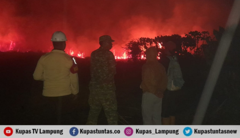 Diduga Akibat Puntung Rokok, 3 Hektare Lahan di Ulubelu Tanggamus Ludes Terbakar