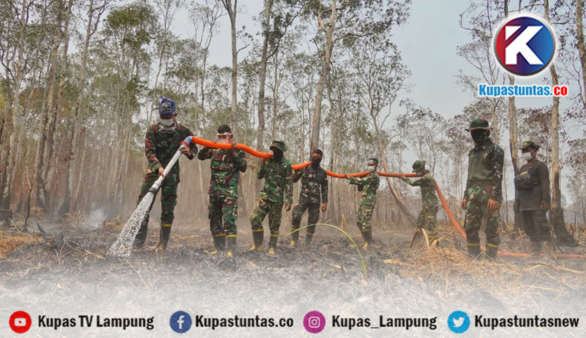 110 Titik Api Melanda Lampung, BNPB Soroti Dugaan Penyebab Karhutla TNWK