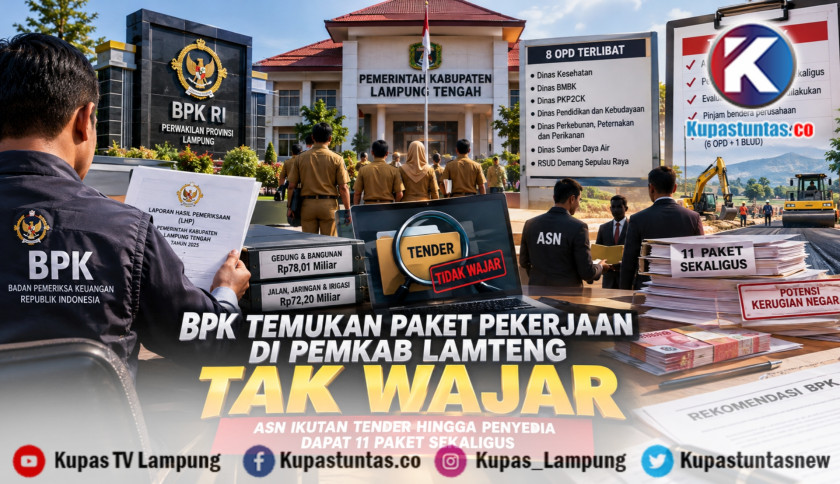 BPK Temukan Paket Pekerjaan di Pemkab Lamteng Tak Wajar, ASN Ikutan Tender hingga Penyedia Dapat 11 Paket Sekaligus